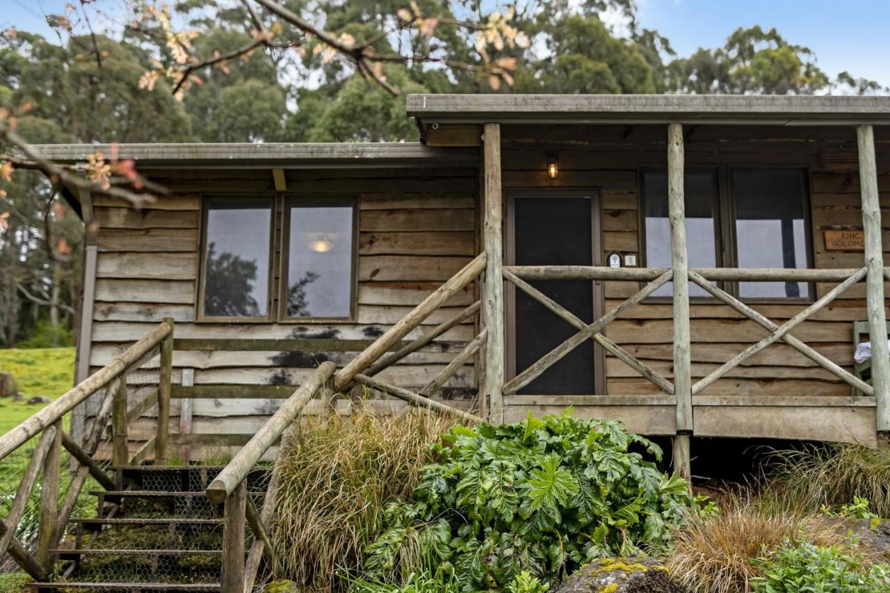 Mole Creek Cabins Zewnętrze zdjęcie