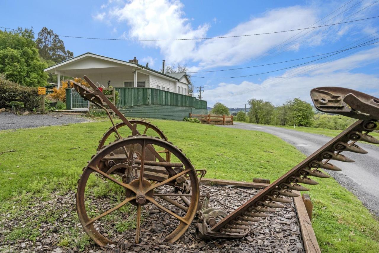 Mole Creek Cabins Zewnętrze zdjęcie