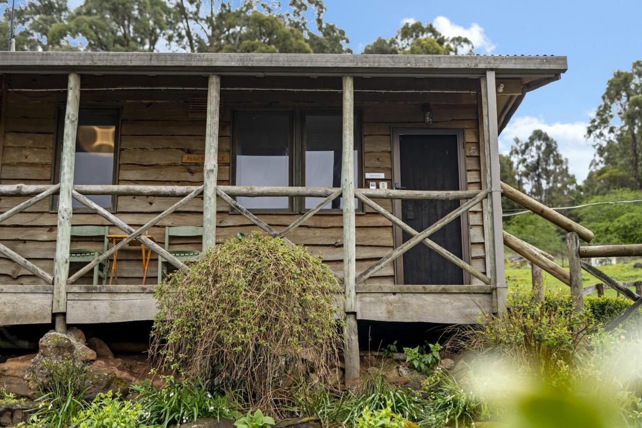 Mole Creek Cabins Zewnętrze zdjęcie